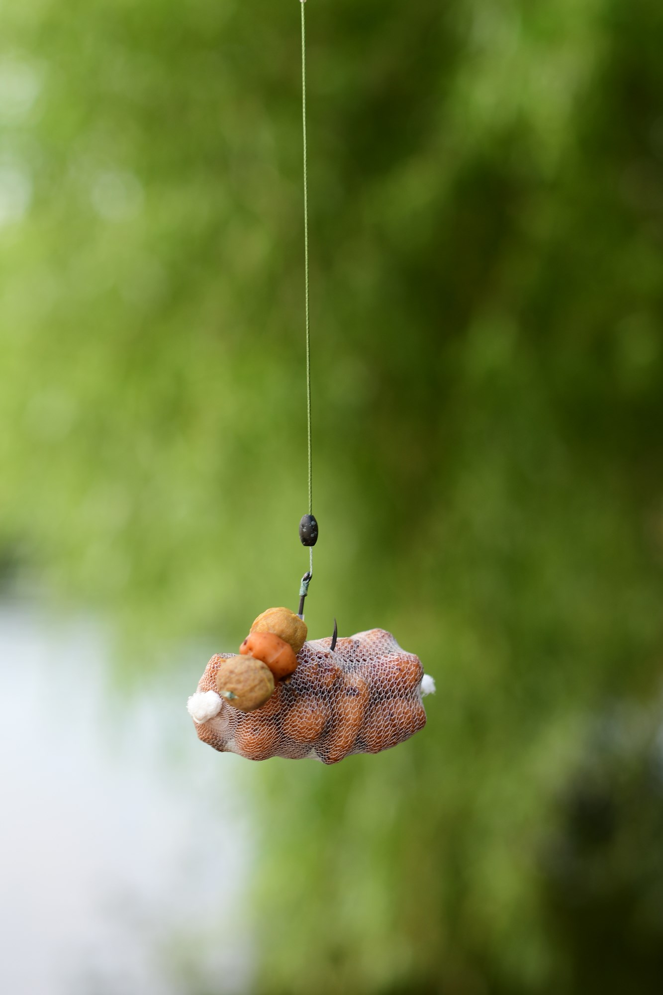 Tancabesti 5 august 2022 - DSC7752.jpg